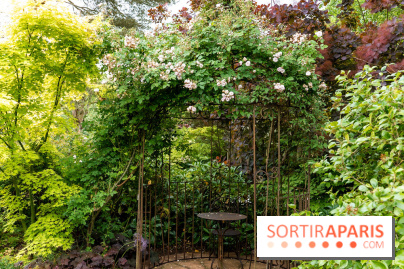 Le Jardin des Aubépines a Auffargis  - A7C01330