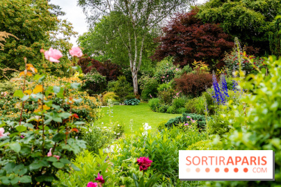 Le Jardin des Aubépines a Auffargis  - A7C01416