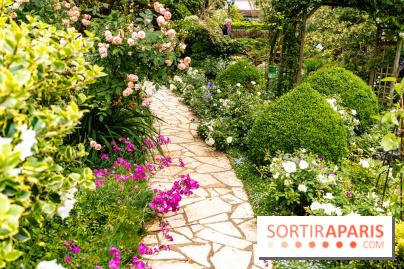 Le Jardin des Aubépines a Auffargis  - A7C01418