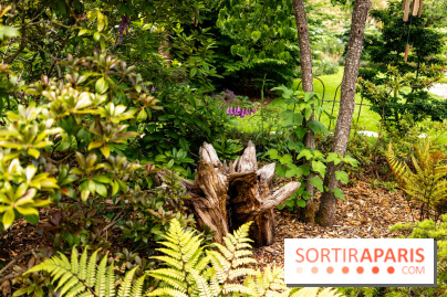 Le Jardin des Aubépines a Auffargis  - A7C01304