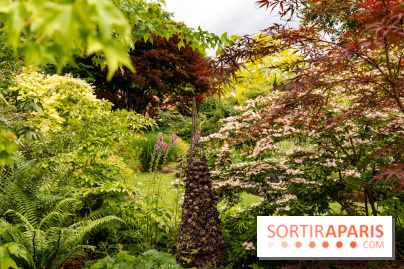 Le Jardin des Aubépines a Auffargis  - A7C01311
