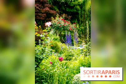 Le Jardin des Aubépines a Auffargis  - A7C01414