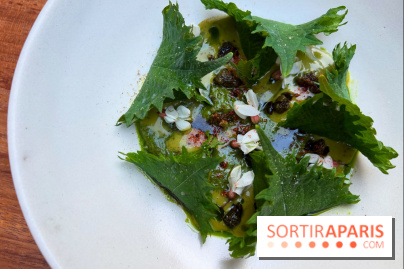 Pantobaguette - Ravioles de shiso ricotta fumée