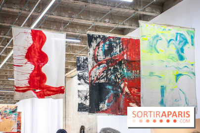 Exposition Disco de Vivan Sutter au Palais de Tokyo - DSC 3039