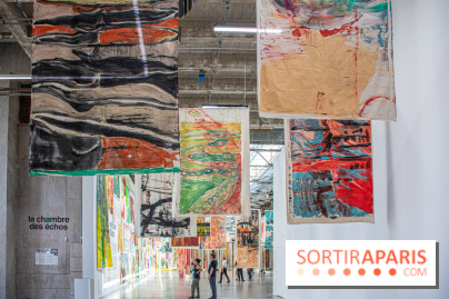 Exposition Disco de Vivan Sutter au Palais de Tokyo - DSC 3044