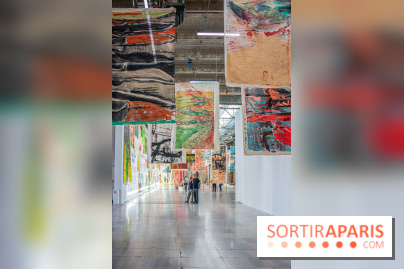 Exposition Disco de Vivan Sutter au Palais de Tokyo - DSC 3045