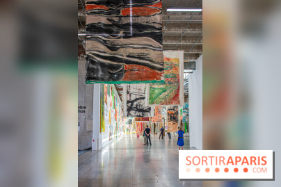 Exposition Disco de Vivan Sutter au Palais de Tokyo - DSC 3046