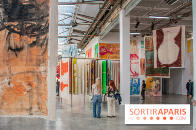 Exposition Disco de Vivan Sutter au Palais de Tokyo