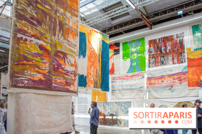 Exposition Disco de Vivan Sutter au Palais de Tokyo - DSC 3052