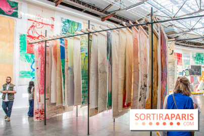 Exposition Disco de Vivan Sutter au Palais de Tokyo - DSC 3053