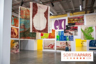 Exposition Disco de Vivan Sutter au Palais de Tokyo - DSC 3054