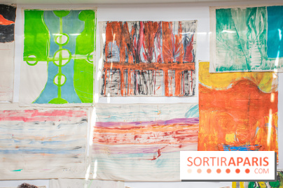 Exposition Disco de Vivan Sutter au Palais de Tokyo - DSC 3055