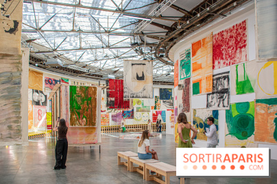 Exposition Disco de Vivan Sutter au Palais de Tokyo - DSC 3057