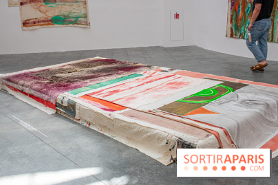 Exposition Disco de Vivan Sutter au Palais de Tokyo - DSC 3059