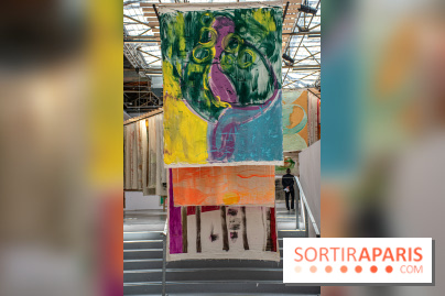 Exposition Disco de Vivan Sutter au Palais de Tokyo - DSC 3060