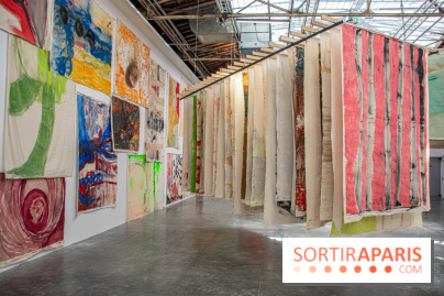 Exposition Disco de Vivan Sutter au Palais de Tokyo - DSC 3061