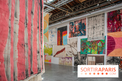Exposition Disco de Vivan Sutter au Palais de Tokyo