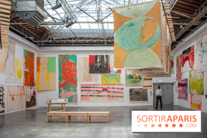 Exposition Disco de Vivan Sutter au Palais de Tokyo - DSC 3063