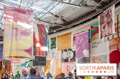 Exposition Disco de Vivan Sutter au Palais de Tokyo - DSC 3064