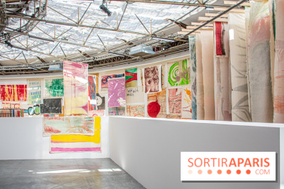 Exposition Disco de Vivan Sutter au Palais de Tokyo - DSC 3065