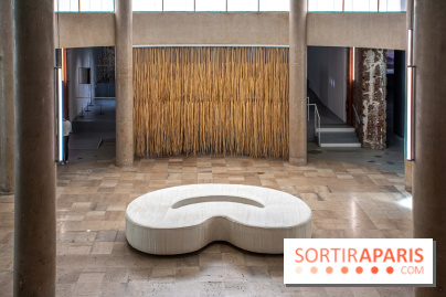 Exposition de Thảo Nguyên Phan au Palais de Tokyo