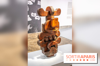 Exposition de Thảo Nguyên Phan au Palais de Tokyo