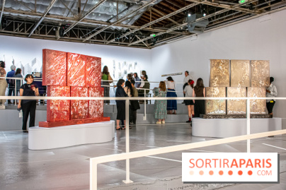Exposition de Thảo Nguyên Phan au Palais de Tokyo