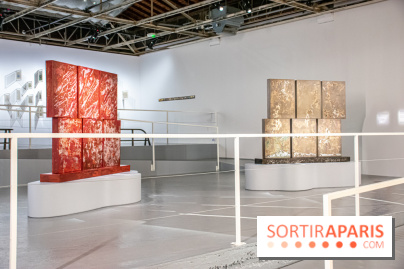 Exposition de Thảo Nguyên Phan au Palais de Tokyo - DSC 3093