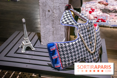 Exposition de vêtements-images de Chalisée Naamani au Palais de Tokyo - DSC 3118