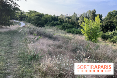 Le parc de l'Île-Saint-Denis - nos photos - 7B5E50E8 A9AF 4D82 AC6B FBB16863195F