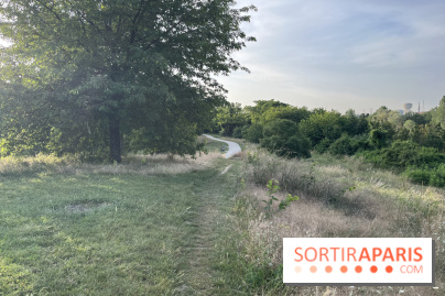 Le parc de l'Île-Saint-Denis - nos photos - 96DC1E52 629A 41C7 847C 4D6BC35C470A