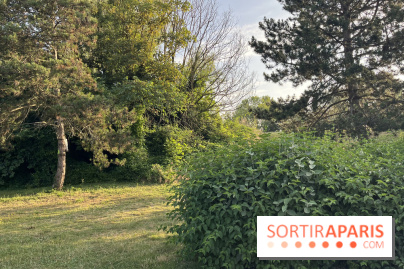 Le parc de l'Île-Saint-Denis - nos photos - 3F146E9F D3AF 4C8E AD51 F90D85BAC341