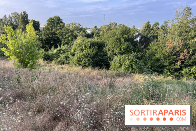 Le parc de l'Île-Saint-Denis - nos photos - C60ACAF0 A53D 4E50 8266 1C99F754FAE5