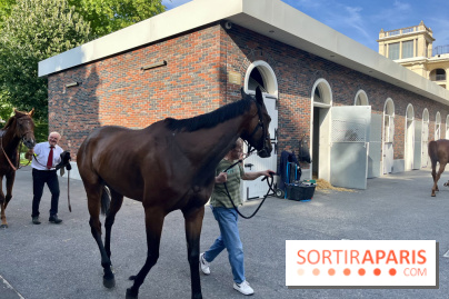 Jeuxdi by Longchamp - chevaux 