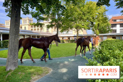 Jeuxdi by Longchamp - chevaux