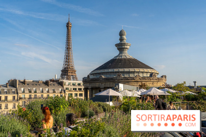 Han Rooftop, le rooftop du Musée Guimet en mode Coréenne