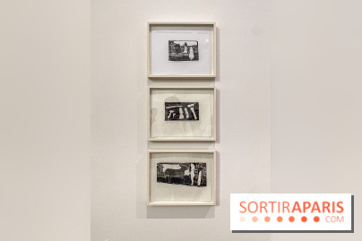 Anna Maria Maiolino au Musée Picasso : nos photos de l'exposition Je suis là - IMG 5842