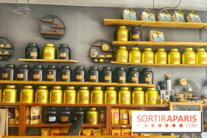 Le Serpent des Vœux  - Tra Art