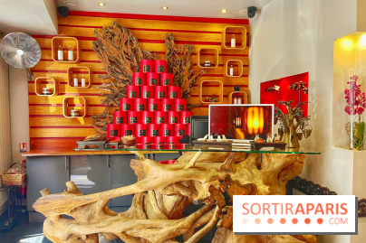 Arbre à sens - IMG 3066