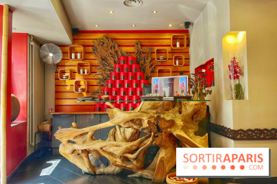 Arbre à sens - IMG 3067