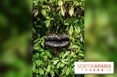 Grandeur Nature II, le festival d'art contemporain gratuit au parc du Château de Fontainebleau - A7C02754