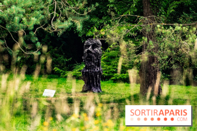 Grandeur Nature II, le festival d'art contemporain gratuit au parc du Château de Fontainebleau - A7C02749