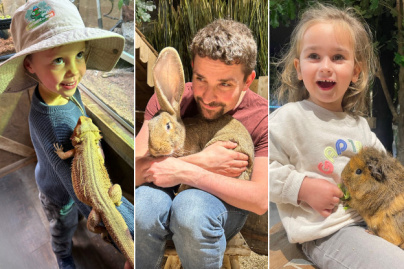 Le Monde de Noé : L’expérience immersive sur le monde animal 