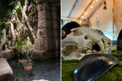 Le Monde de Noé : L’expérience immersive sur le monde animal 