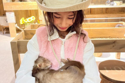 Le Monde de Noé : L’expérience immersive sur le monde animal 