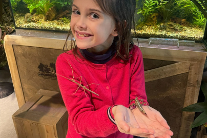 Le Monde de Noé : L’expérience immersive sur le monde animal 