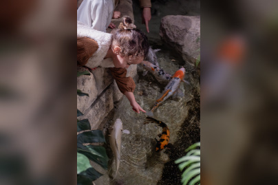 Le Monde de Noé : L’expérience immersive sur le monde animal 