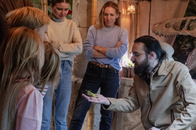 Le Monde de Noé : L’expérience immersive sur le monde animal 