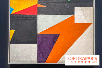 Niki de Saint Phalle, Jean Tinguely, Pontus Hultén : nos photos de l'expo inédite au Grand Palais - IMG 6137