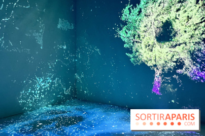 Topologie de l’Eau : Roches, Plantes et Vent - IMG 3242